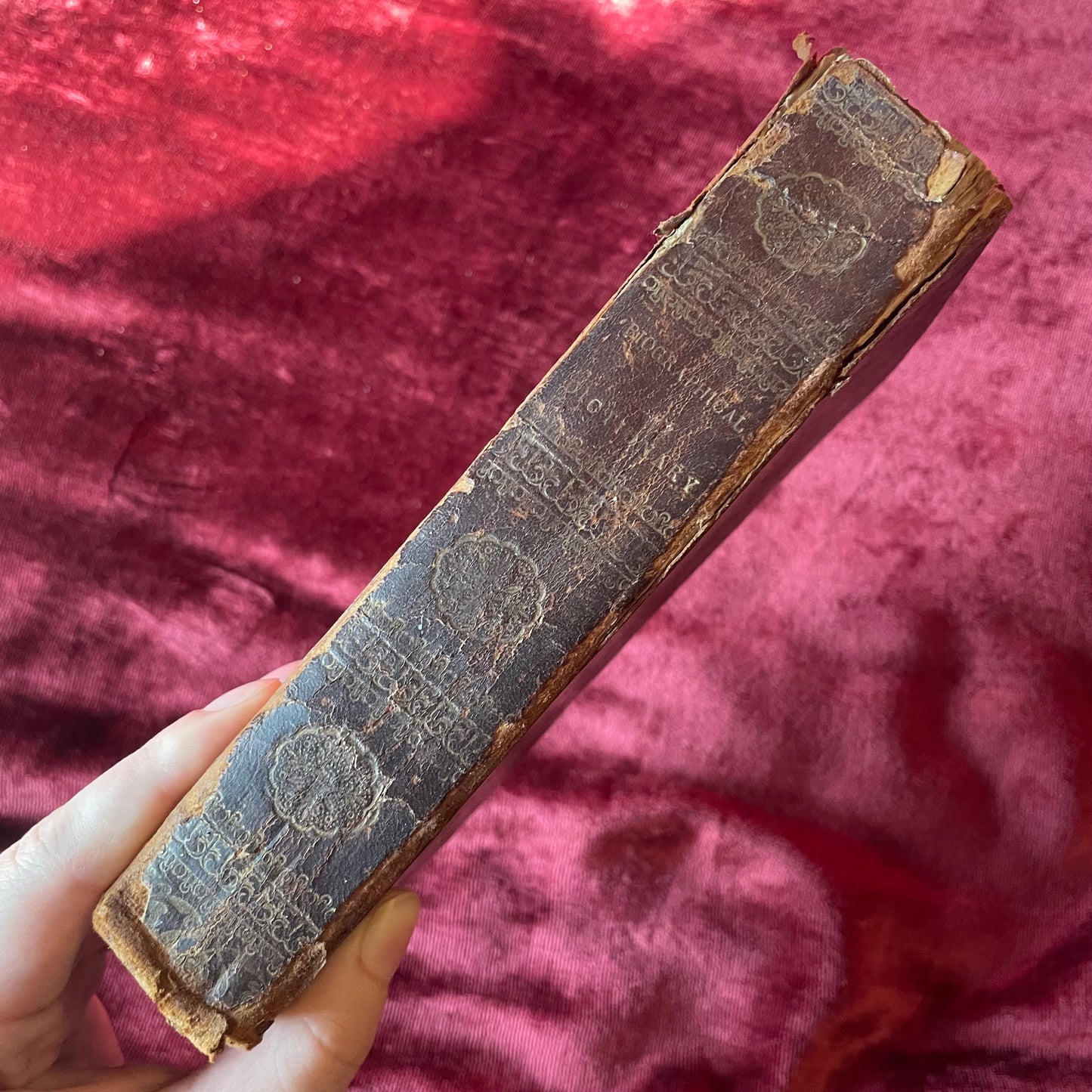 Universal Biographical Dictionary | 1825