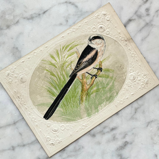 Victorian Bird Trade Card | Long-Tailed Titmouse