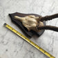 Antique Black Forest Roe Deer Antler Trophy