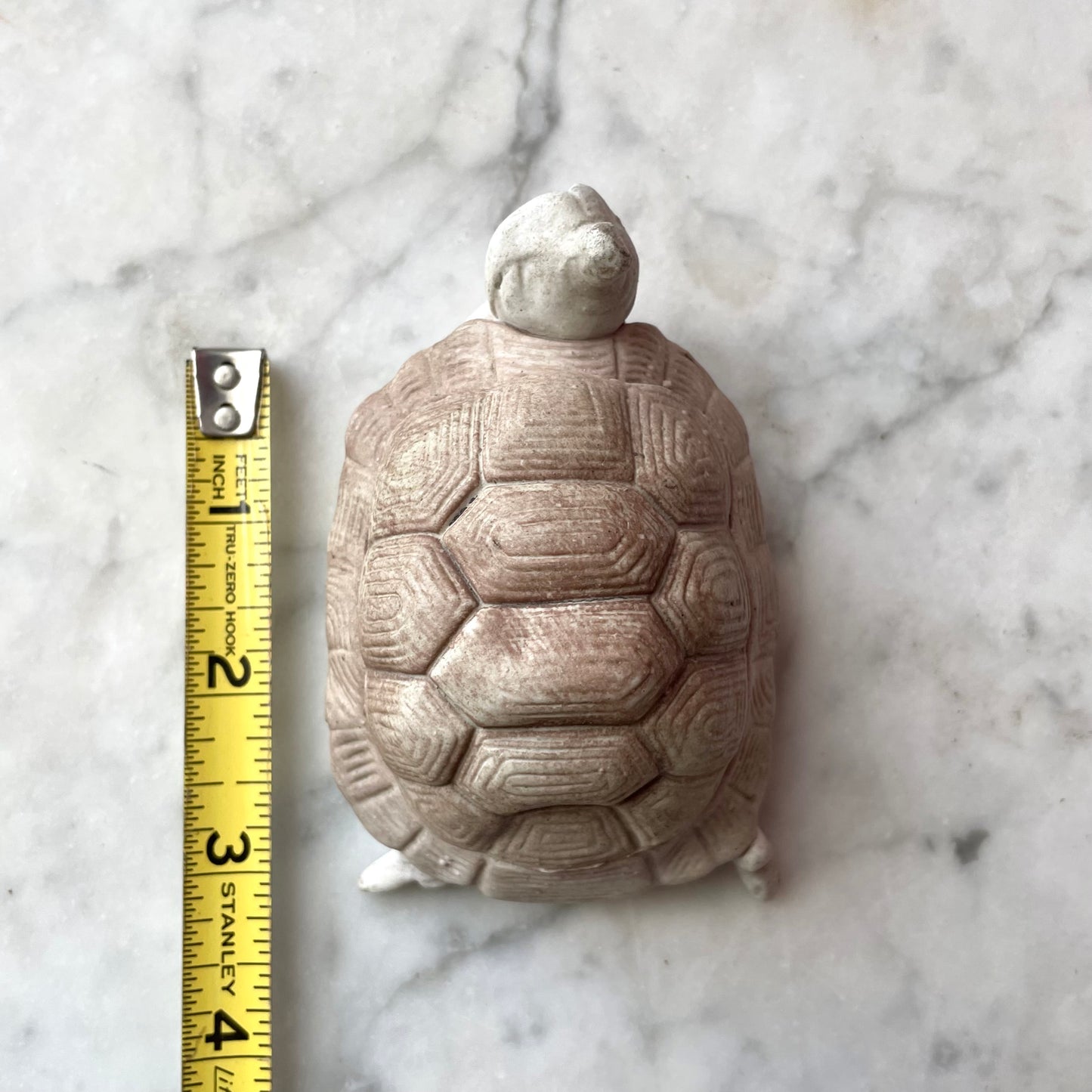 Antique German Erotic Novelty Bisque Turtle