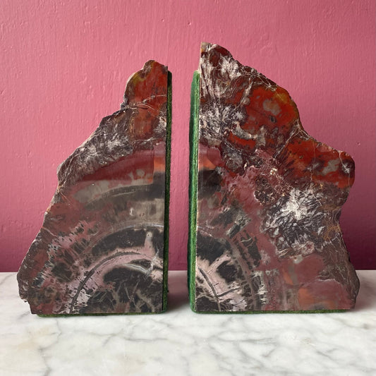 Vintage Petrified Wood Bookends