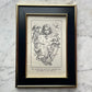 The Heart of Man | Plate No. 2