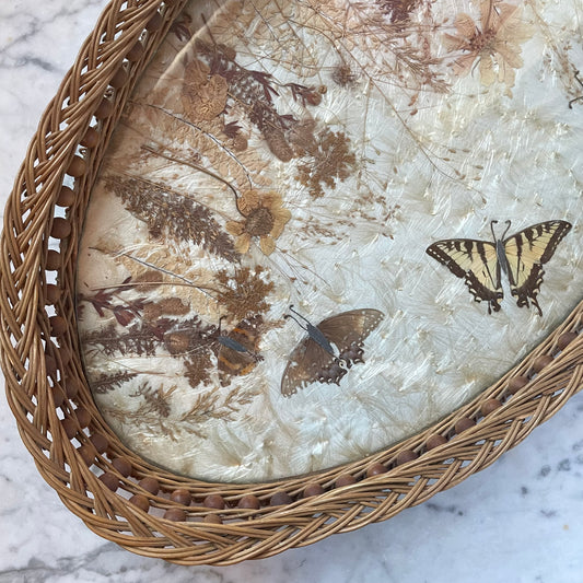 Vintage Butterfly Tray