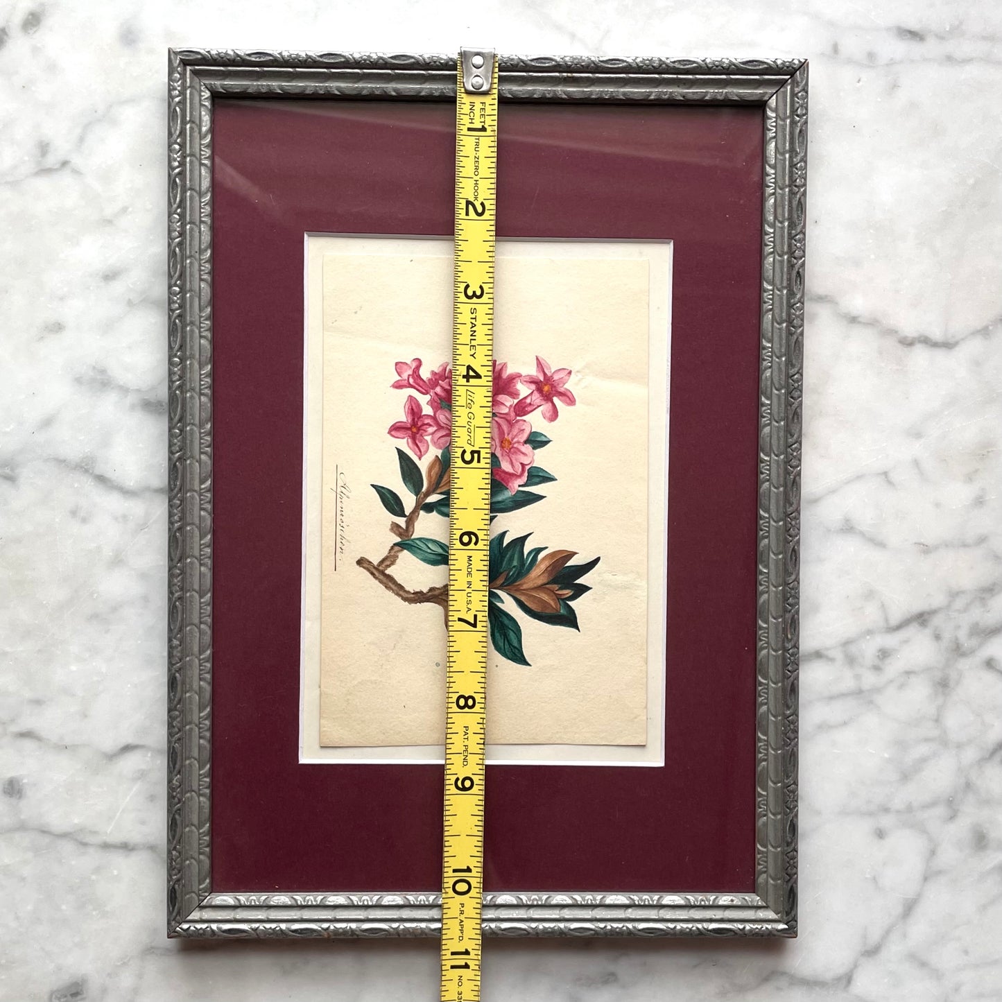 Alpenrose | Rhododendron ferrugineum | Antique Floral Painting