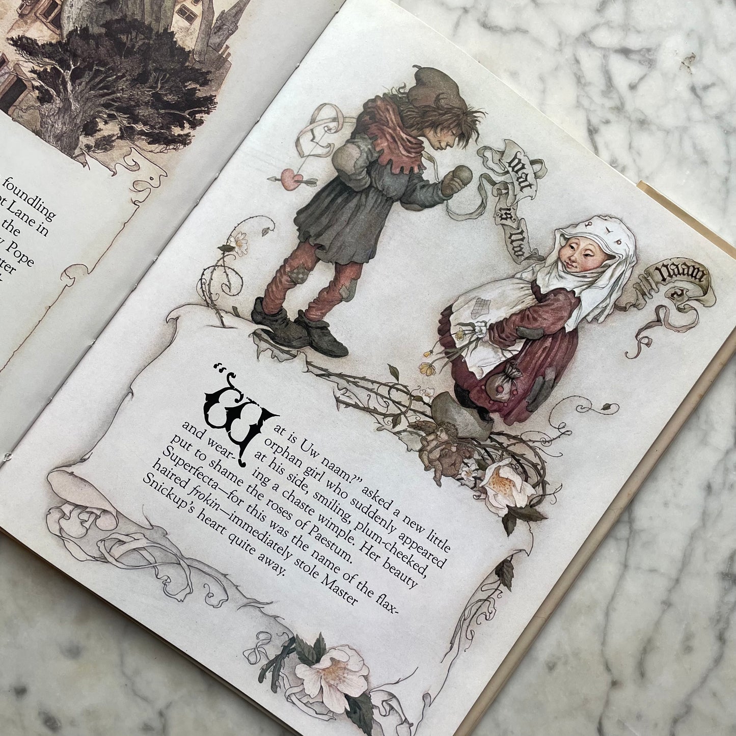 Master Snickup’s Cloak illustrated by Brian Froud