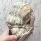 Antique Plaster Bust