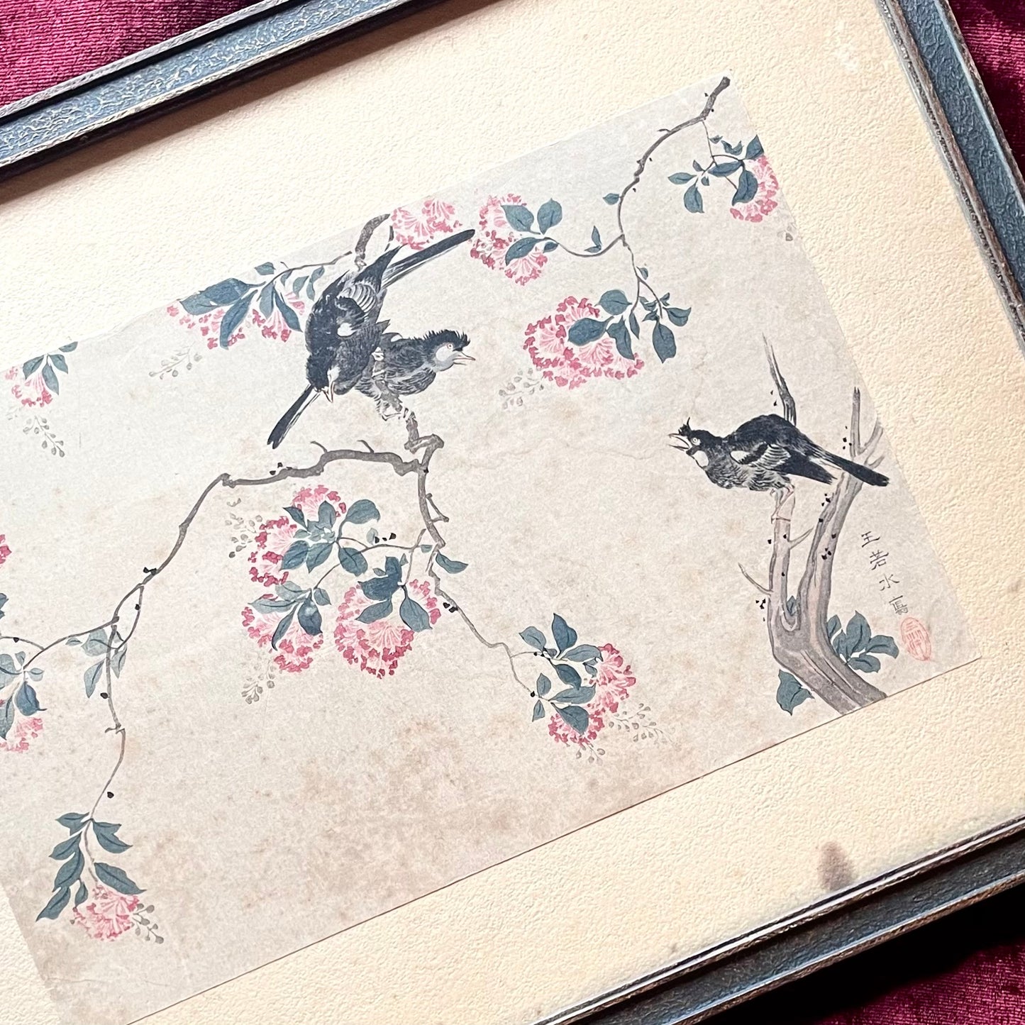 Crepe Myrtle by Wang Ruoshui aka Wang Yuan| Antique Print