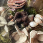 Victorian Floral Shadow Box with Hair, Wool, and Shell Work