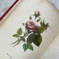 Floral Forget Me Not| The Language of Flowers | 1854
