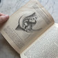 Victorian Medical Book | Plain Home Talks | 1858