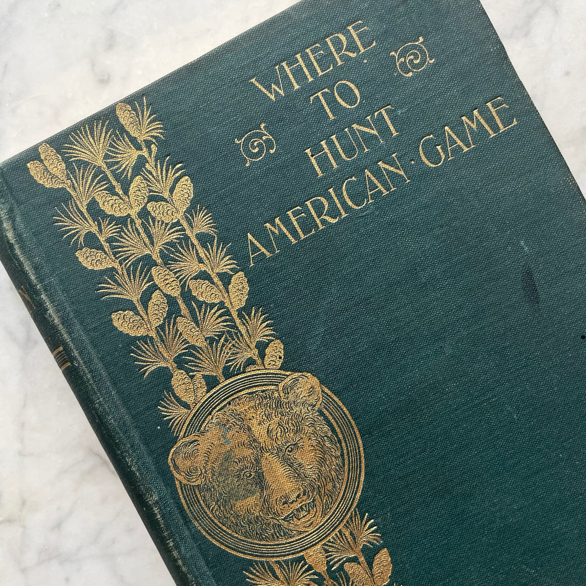 Where to Hunt American Game | 1898