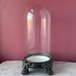 Glass Dome on Clawed Foot Base
