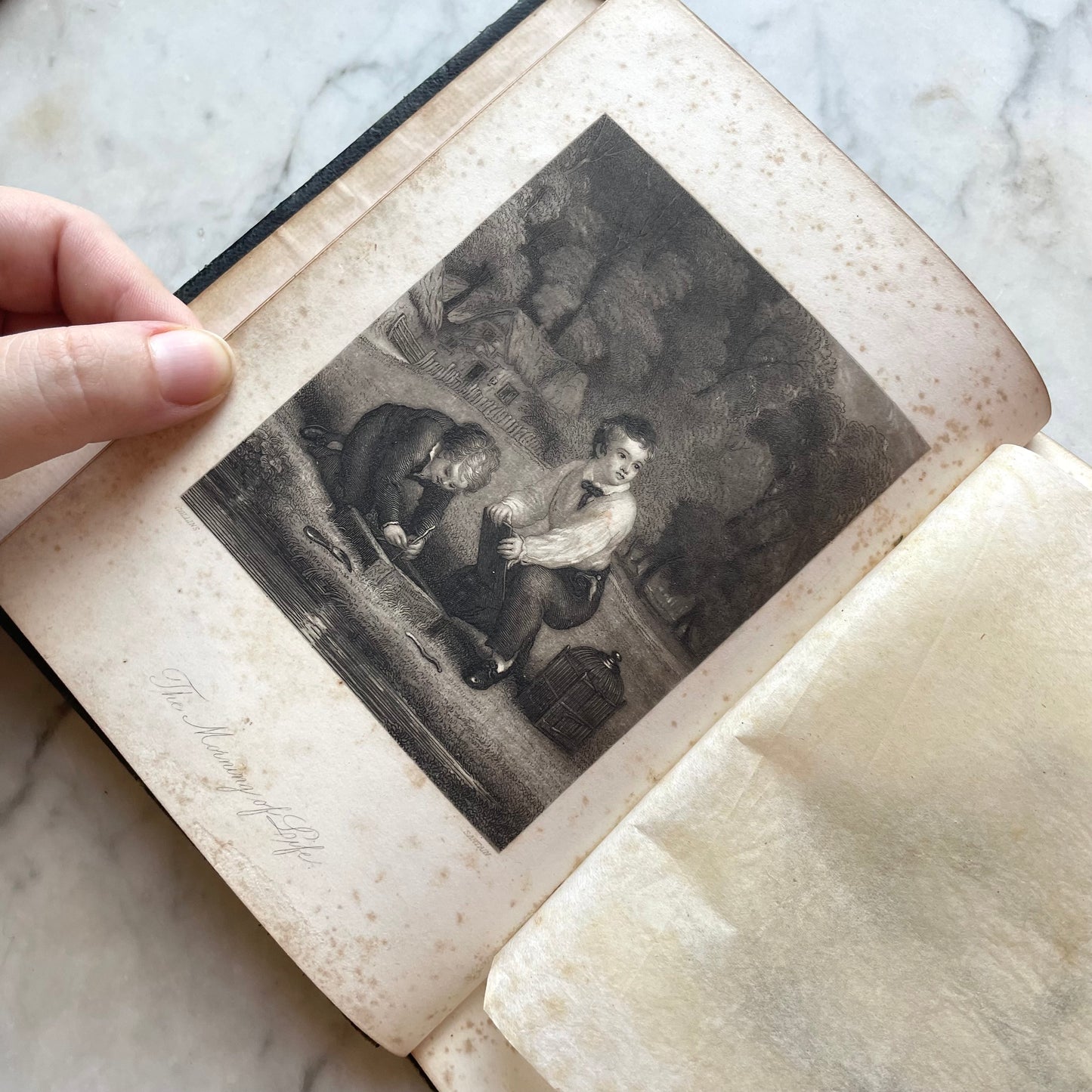 The Rosebud Album | Victorian Autograph Album | 1860s