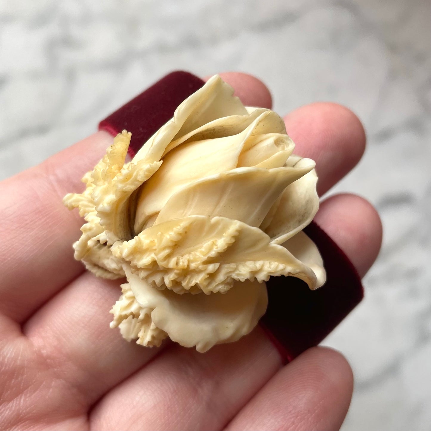 Antique Carved Bone Rose on Velvet Choker