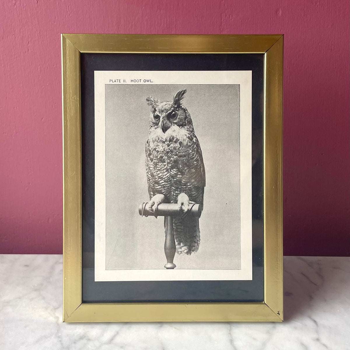 Hoot Owl | Vintage Framed Print
