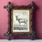 Le bouc | 18th Century Goat Framed Print