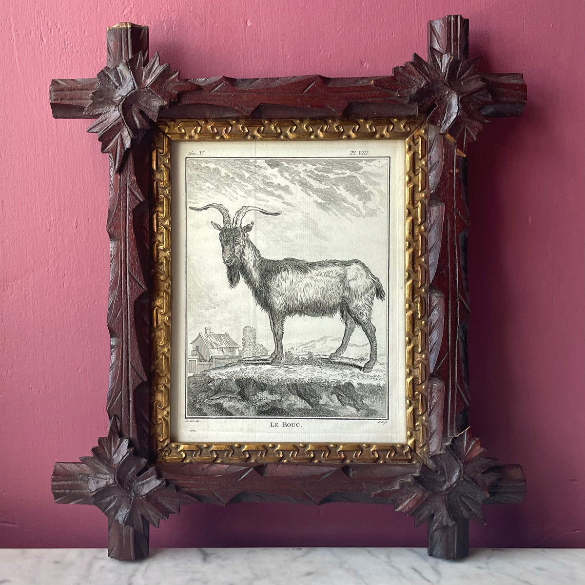 Le bouc | 18th Century Goat Framed Print