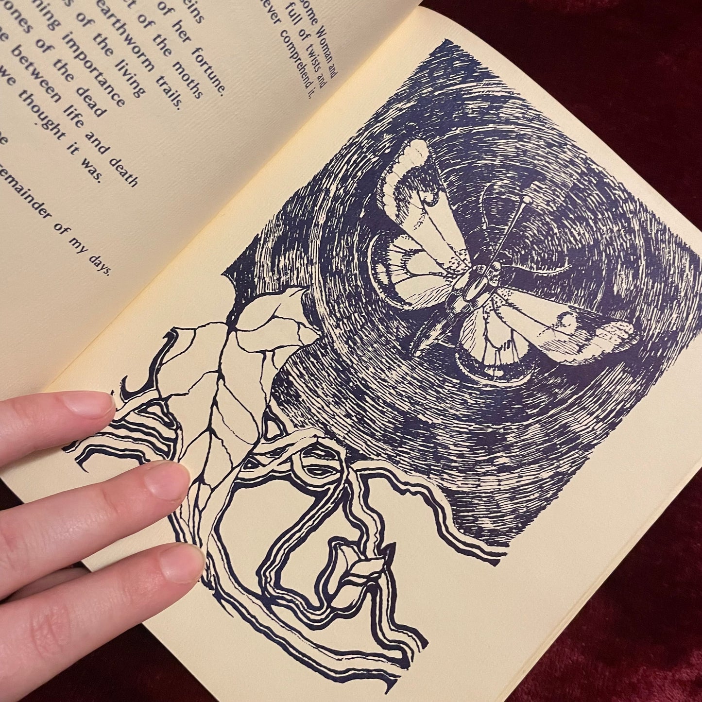 Songs to a Handsome Woman | Rita Mae Brown | 1973