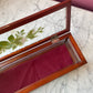 Antique Glass & Wood Glove Box
