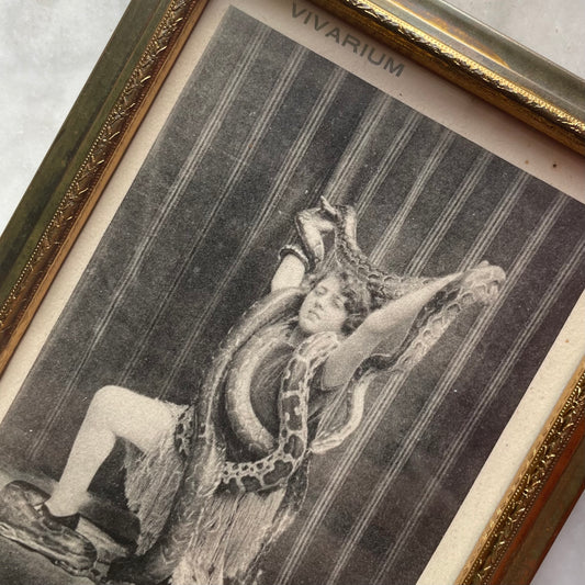 Antique Snake Handler Framed Card