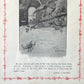 Owl and Scorpion | Antique Framed Print