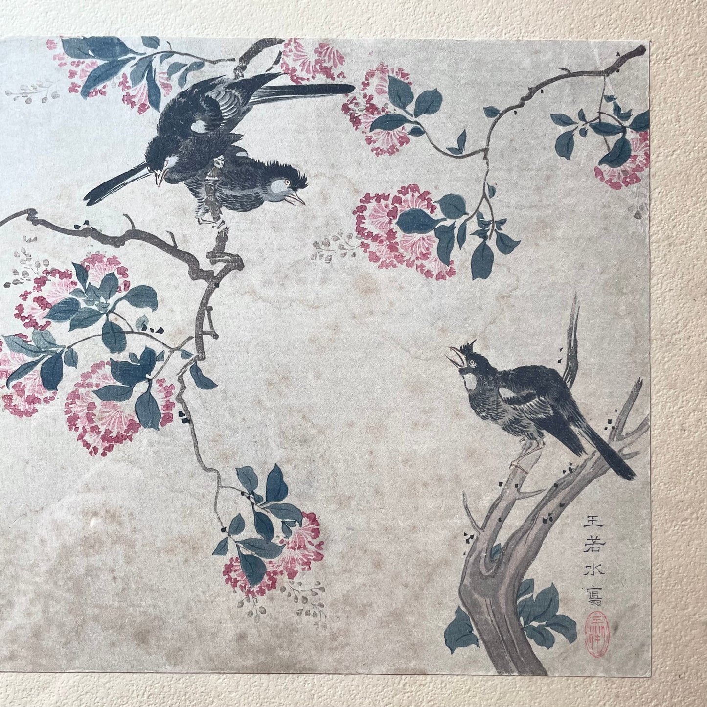 Crepe Myrtle by Wang Ruoshui aka Wang Yuan| Antique Print