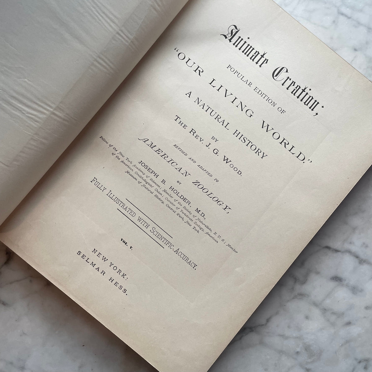 Animate Creation: Popular Edition of "Our Living World," A Natural History | 1890s