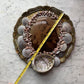 Stella Maris | Vintage Madonna Assemblage with Seashells