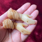 Victorian Wax Hands | Wedding Cake Toppers