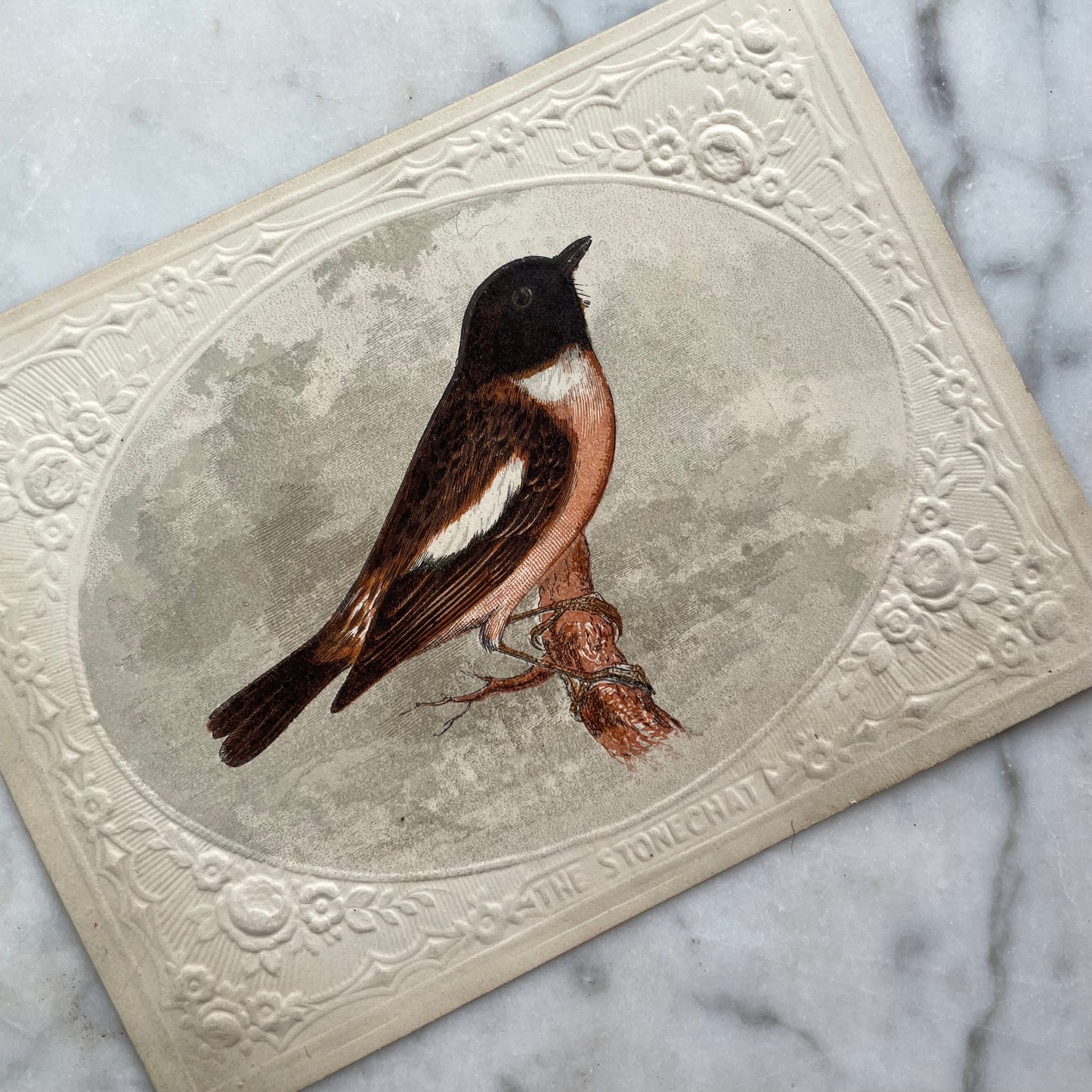 Victorian Bird Trade Card | Stonechat