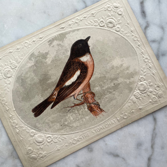 Victorian Bird Trade Card | Stonechat