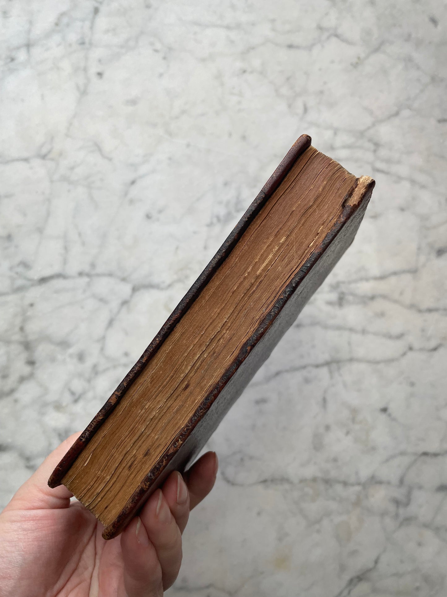 Antique Hollow Book Safe