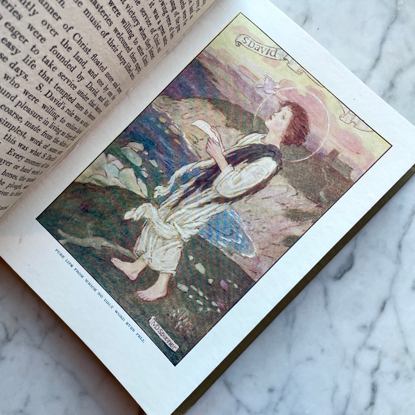 Our Island Saints | Amy Steedman & M. Dibdin Spooner