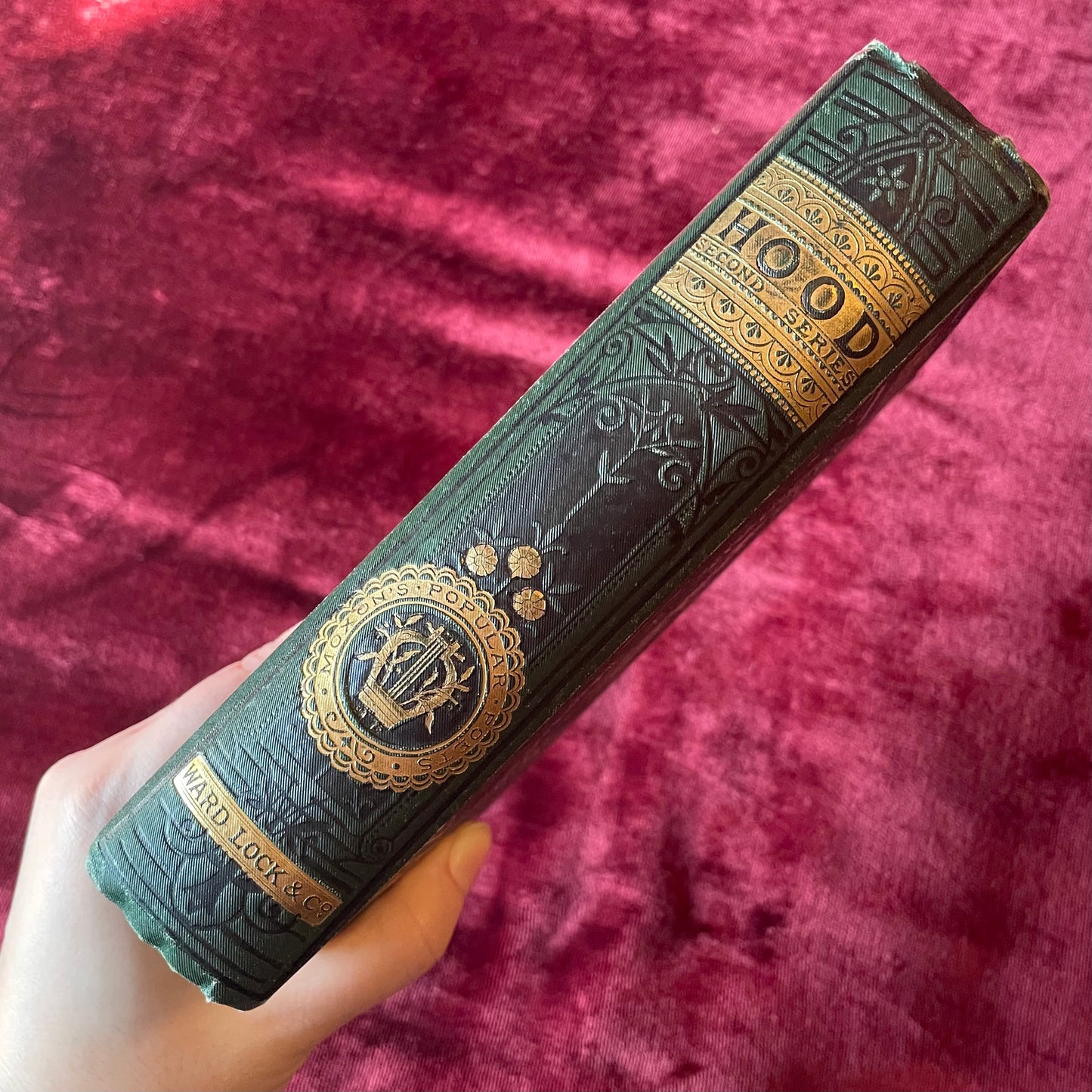 Poems of Thomas Hood | Illustrated by Gustave Doré| Introduction by William Michael Rossetti