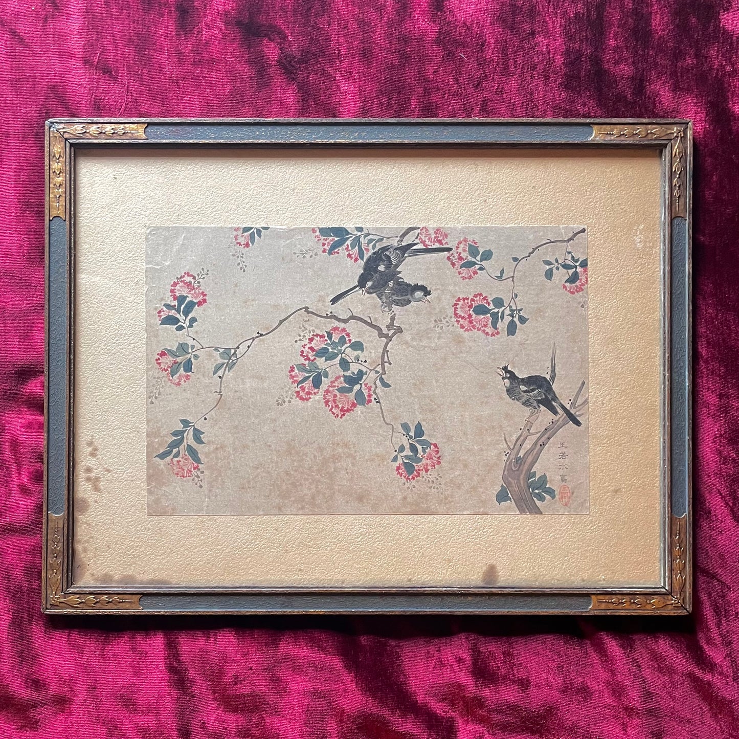 Crepe Myrtle by Wang Ruoshui aka Wang Yuan| Antique Print