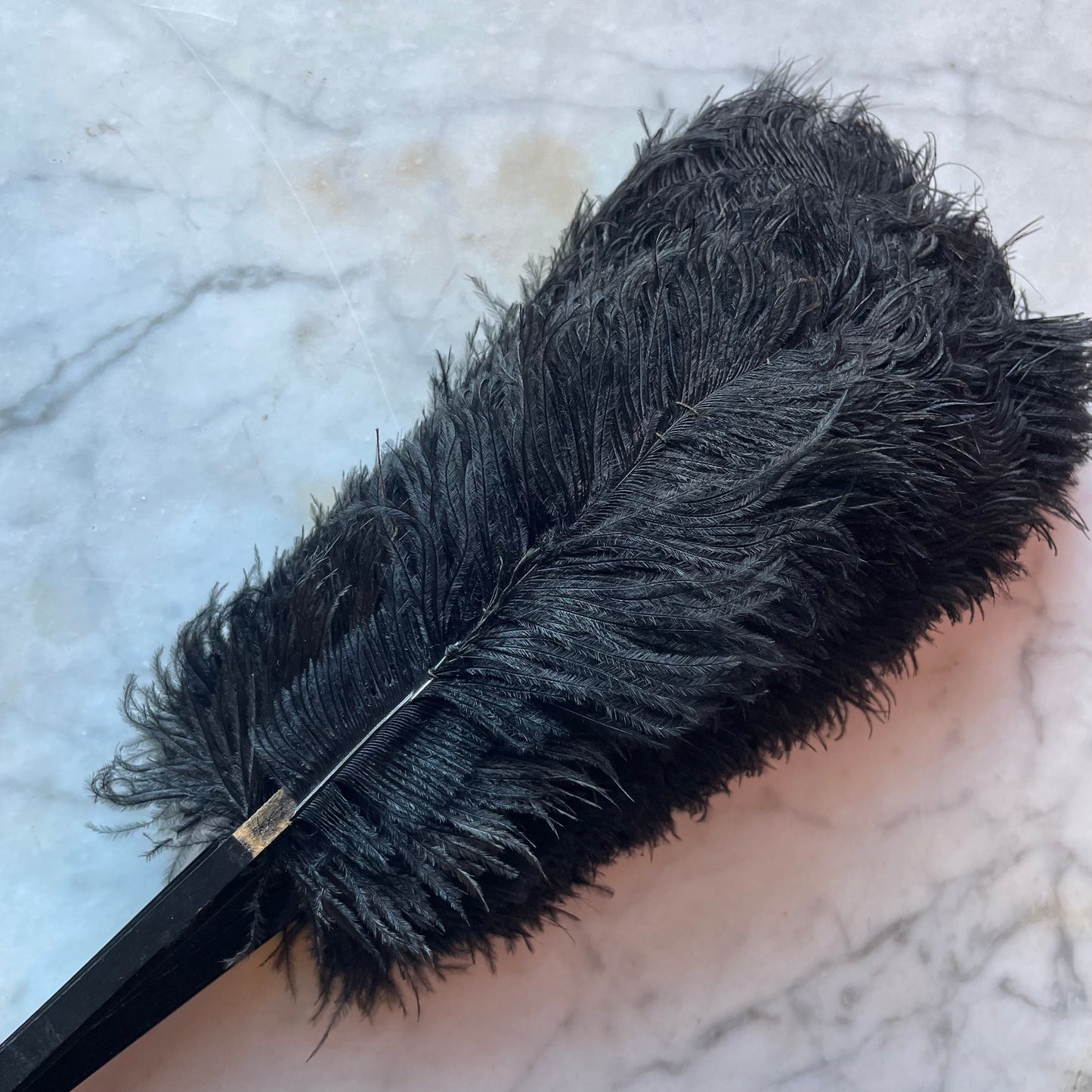 Antique Ostrich Feather Fan