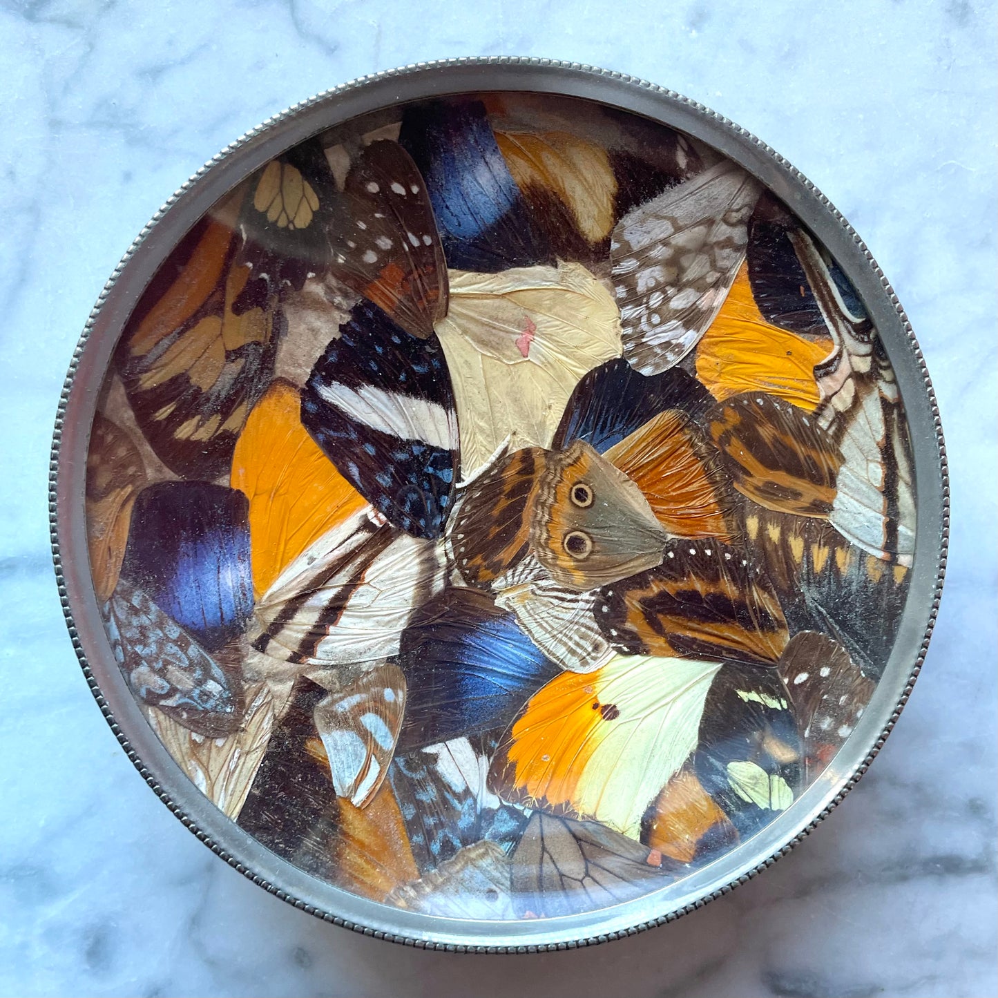 Vintage Butterfly Wing Ash Tray