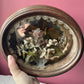 Victorian Floral Shadow Box with Hair, Wool, and Shell Work