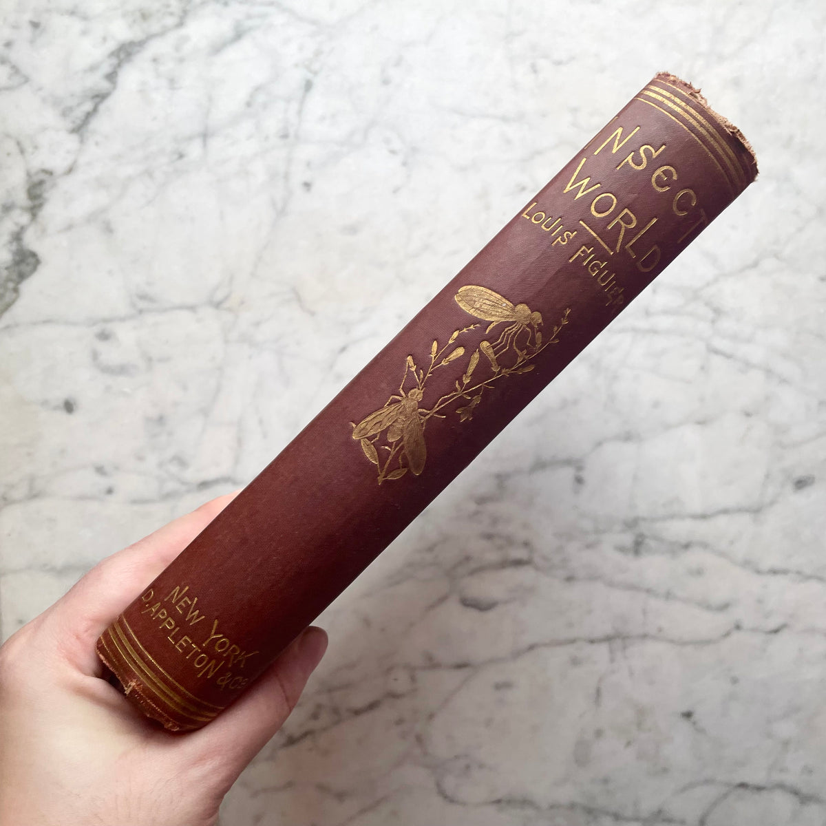 The Insect World | Louis Figuier | 1869