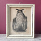 Horned Owl | Miniature Victorian Framed Print
