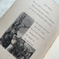 The Witch’s Daughter or Mabel Martin: A Harvest Idyl | Whittier | 1876