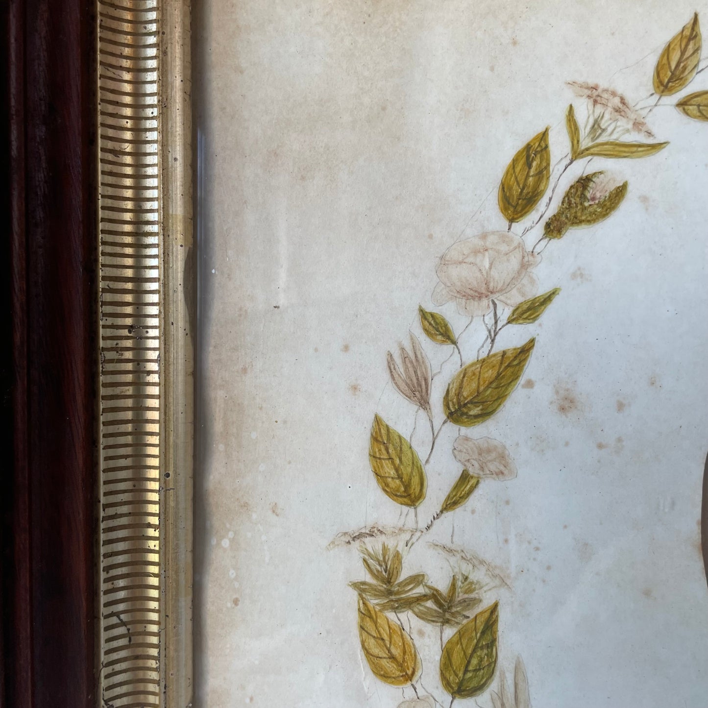 Victorian Solar Enlargement in Hand Painted Floral Wreath Mat & Wooden Frame