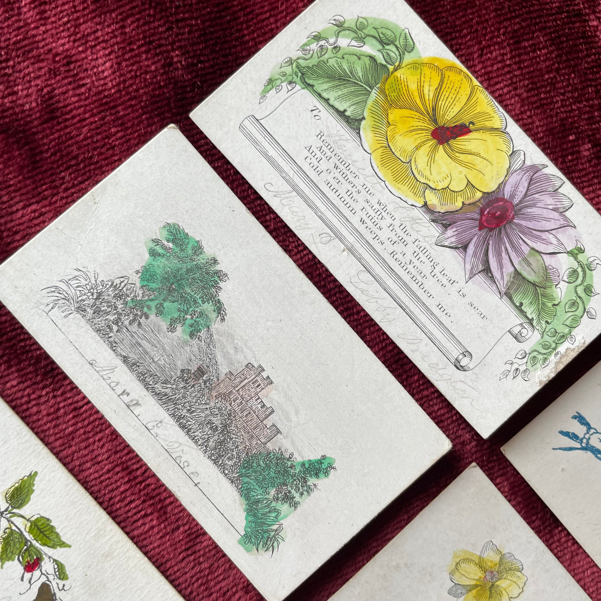 Early Victorian Hand Colored Calling Cards