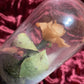 Antique Wax Rose under Glass Dome