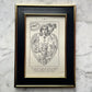 The Heart of Man | Plate No. 7