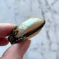 Victorian Mother of Pearl Shell Perfume Bottle