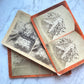 Victorian Funeral Flowers | Trio of Stereocards