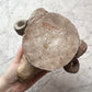 Antique Neoclassical Rams Heads