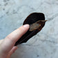 Antique Leather Riding Crop