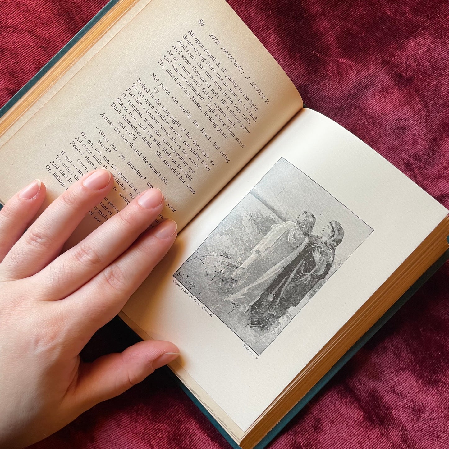 Decorative Binding | The Princess & Maud | Henry Altemus